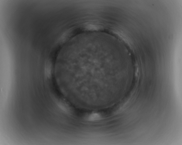 X0000113950647200910021506