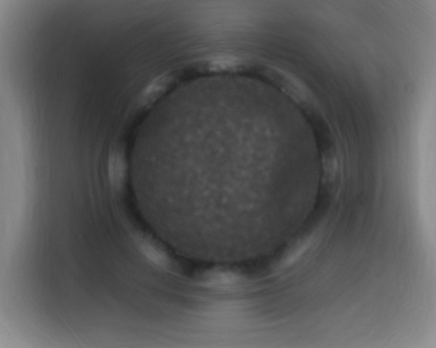 X0000113950648200910021506