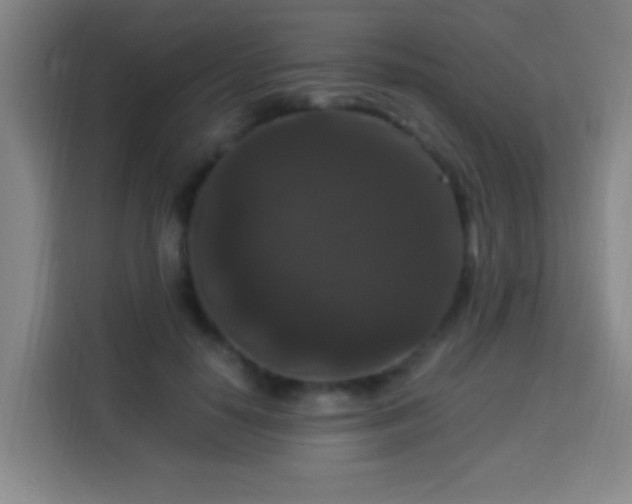 X0000113950650200910021506