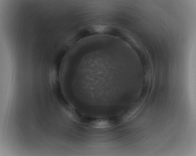 X0000113950651200910021506