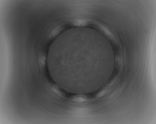 X0000113950652200910021506