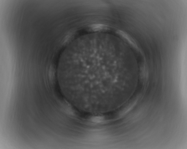 X0000113950653200910021507