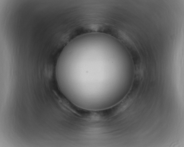 X0000113950656200910021507
