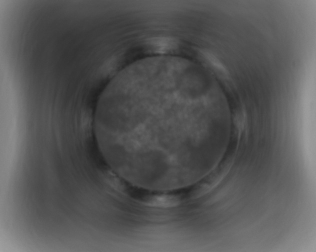 X0000113950657200910021507
