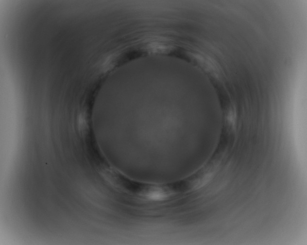 X0000113950663200910021507