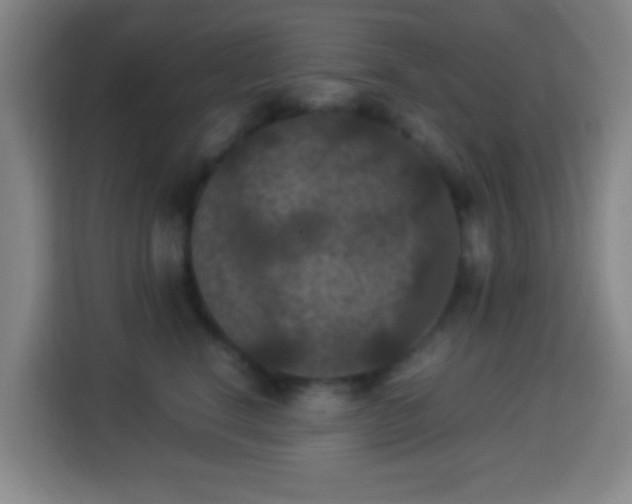X0000113950664200910021507