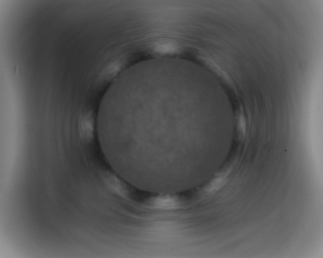X0000113950668200910021507