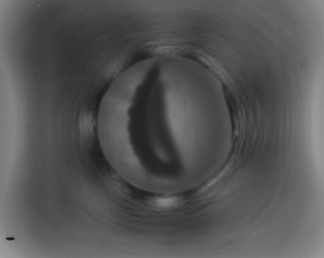 X0000113950669200910021507