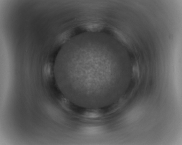 X0000113950671200910021507