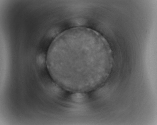 X0000113950672200910021507