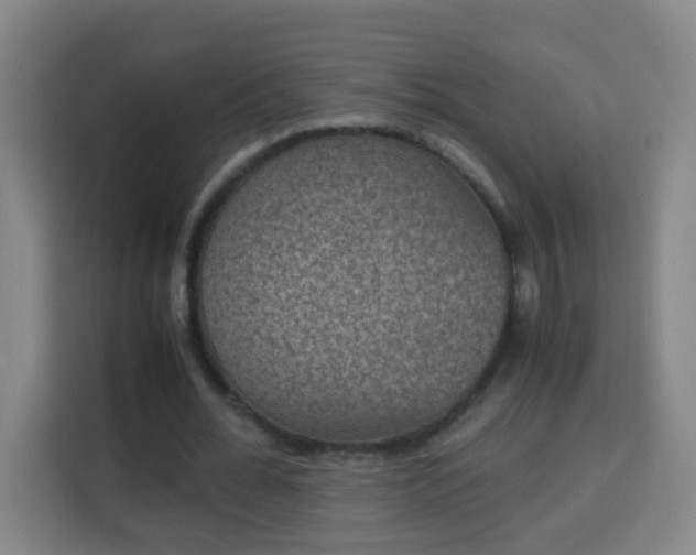 X0000113950676200910021506