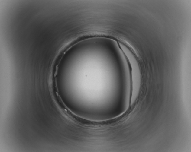 X0000113950677200910021506