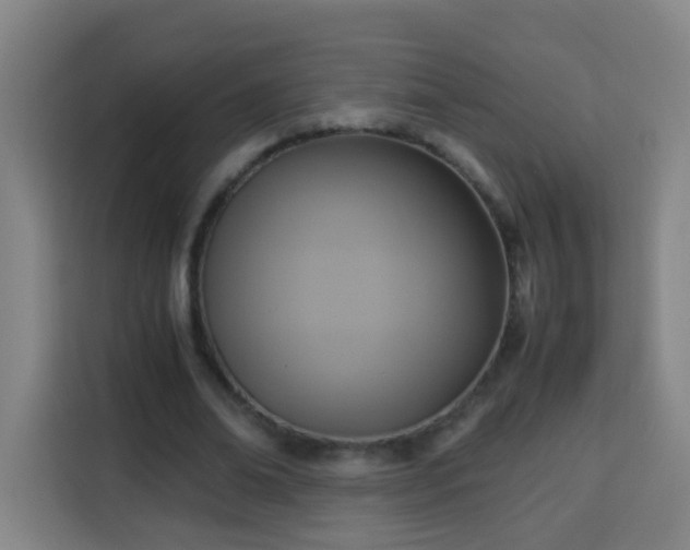 X0000113950678200910021506