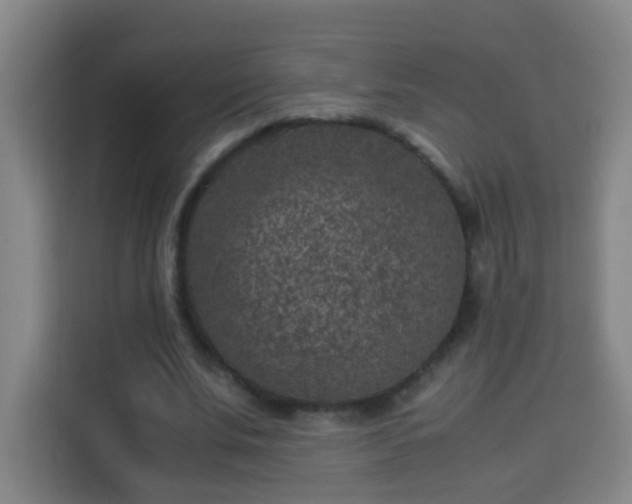 X0000113950679200910021506