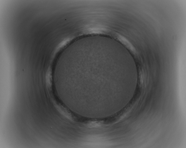 X0000113950680200910021506