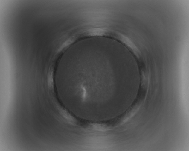X0000113950681200910021506