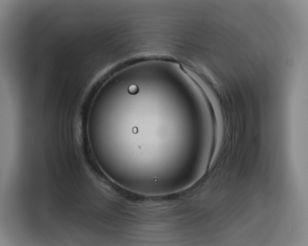 X0000113950684200910021506