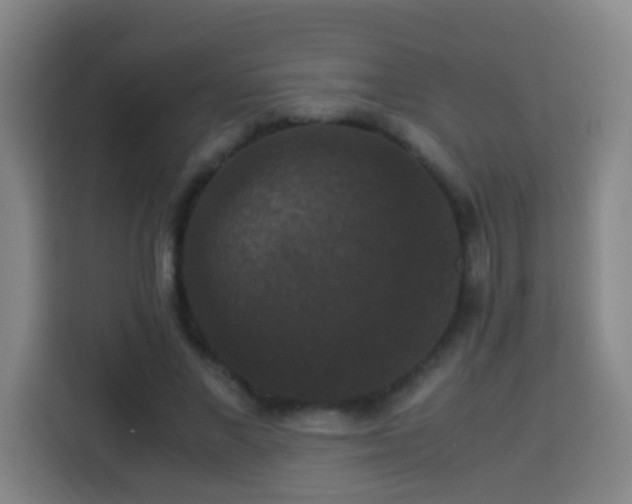 X0000113950685200910021506
