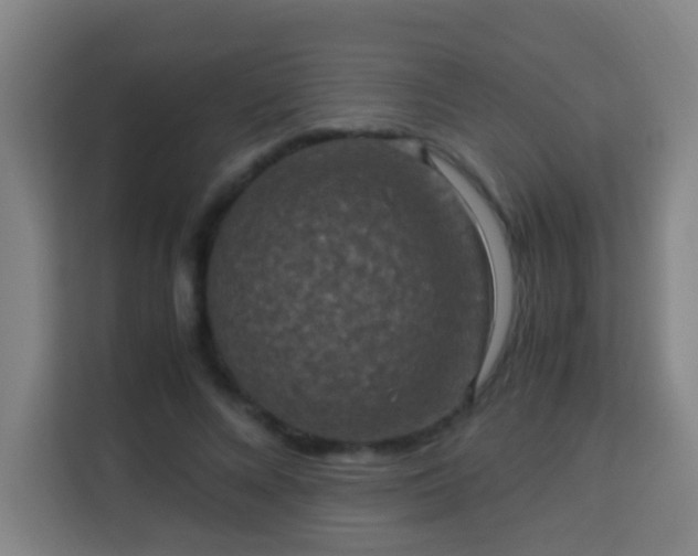 X0000113950688200910021506