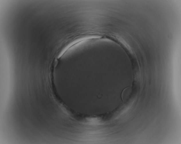 X0000113950689200910021506