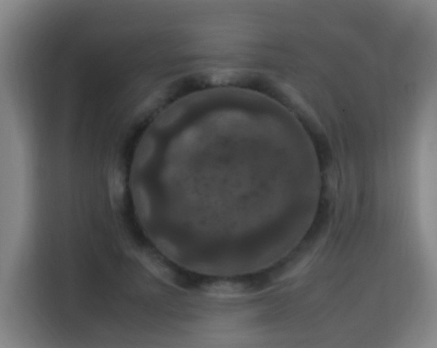 X0000113950691200910021506