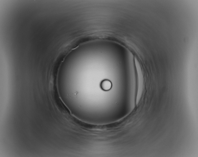 X0000113950693200910021506