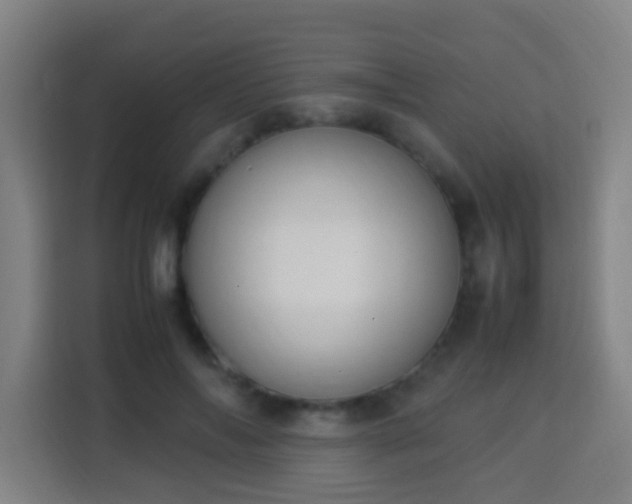 X0000113950694200910021506