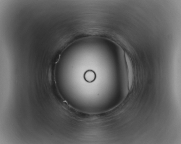 X0000113950696200910021506