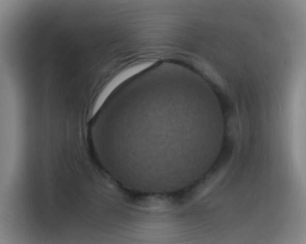 X0000113950697200910021506