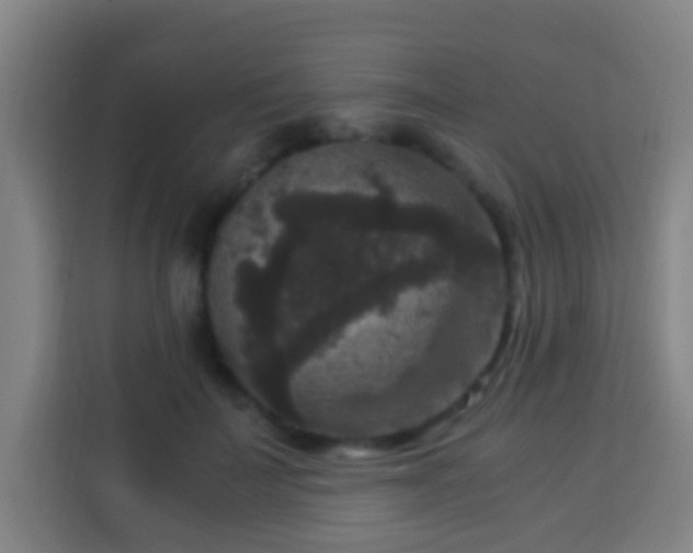 X0000113950699200910021506