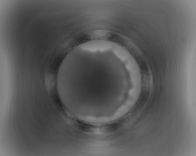 X0000113950701200910021506