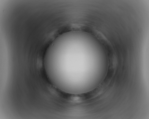 X0000113950706200910021506
