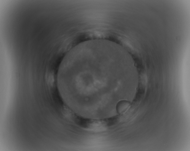 X0000113950709200910021506