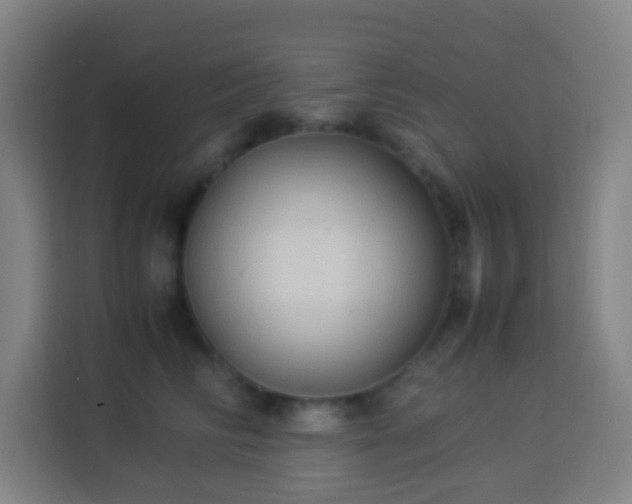 X0000113950710200910021506