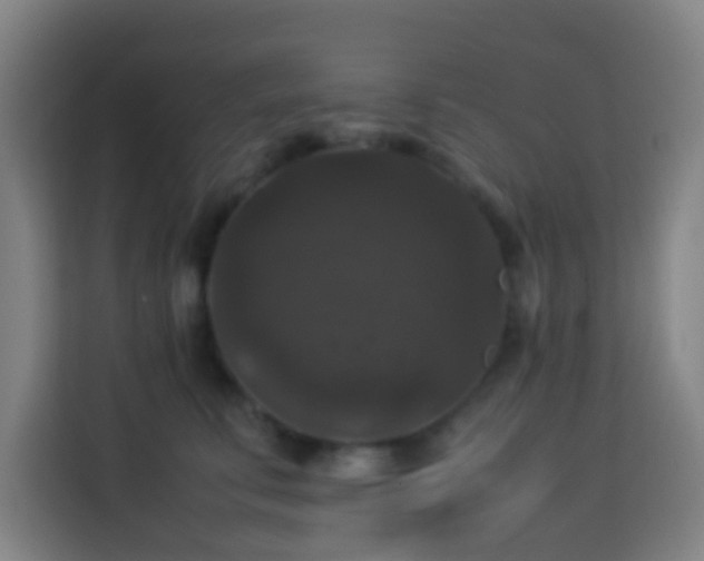 X0000113950711200910021506