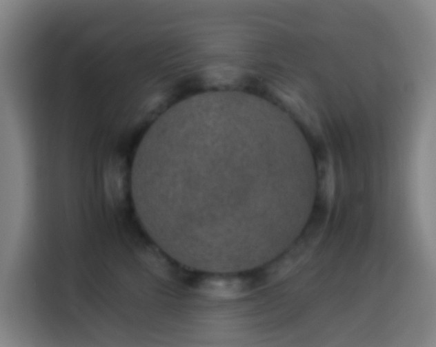 X0000113950712200910021506