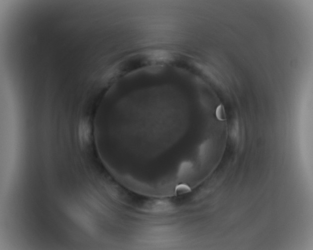 X0000113950715200910021506