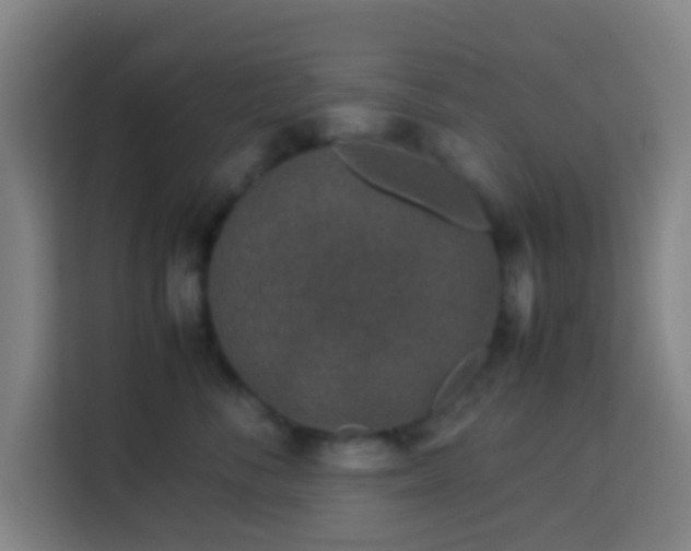 X0000113950716200910021506