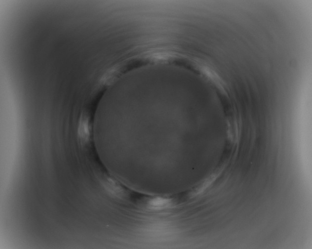 X0000113950718200910021506