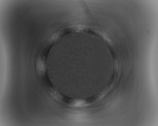 X0000113950719200910021506