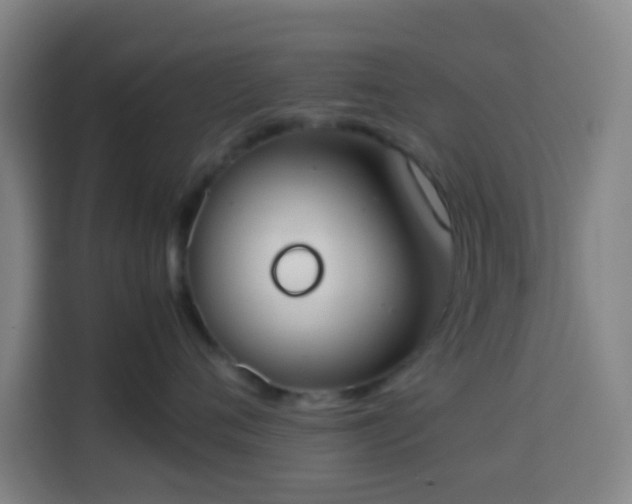 X0000113950720200910021506