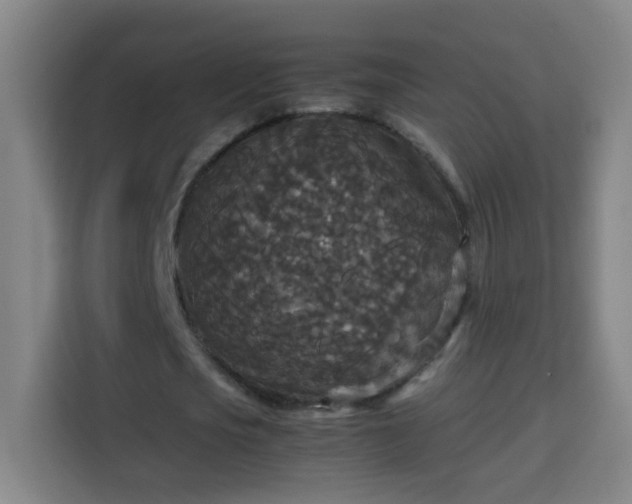 X0000113950721200910021505