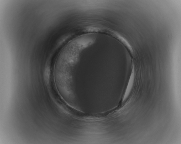 X0000113950722200910021505