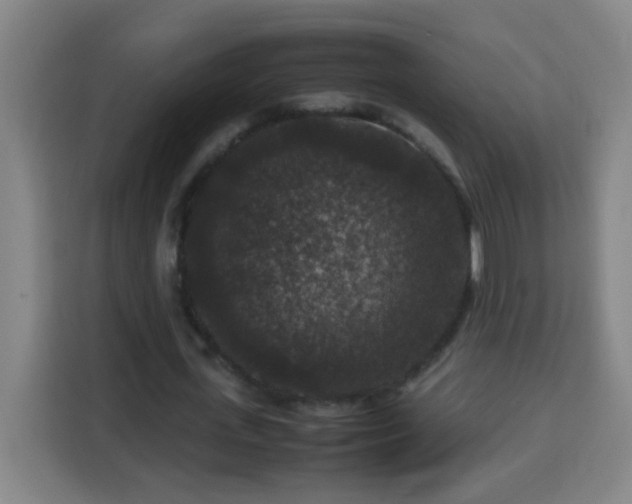 X0000113950723200910021505
