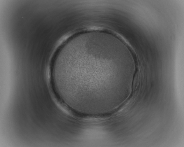 X0000113950726200910021505