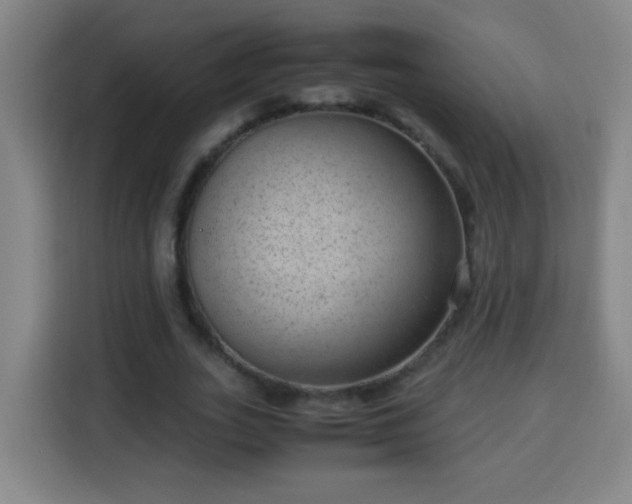 X0000113950727200910021505