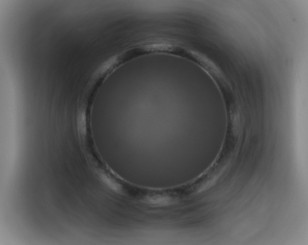 X0000113950729200910021505