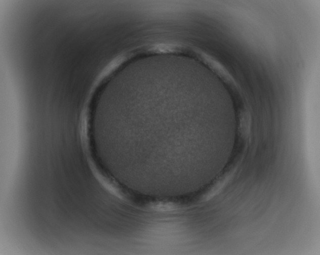 X0000113950730200910021505