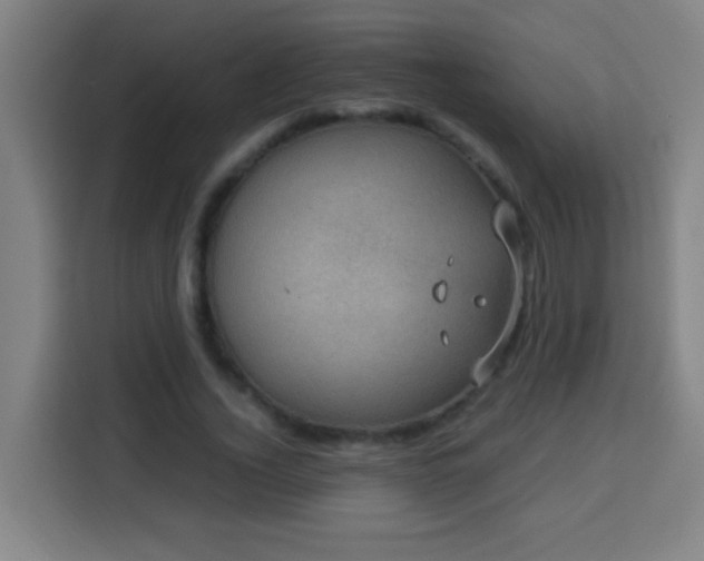 X0000113950732200910021505