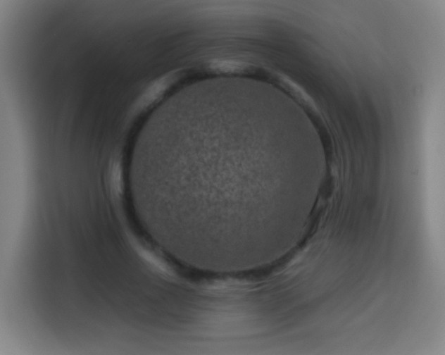 X0000113950734200910021505